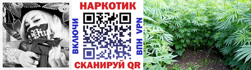 Купить закладку ГАШ  Alpha-PVP  Меф мяу мяу  МАРИХУАНА  АМФ  COCAIN  Шатура
