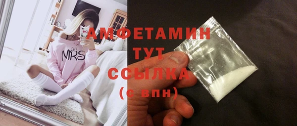 индика Горнозаводск