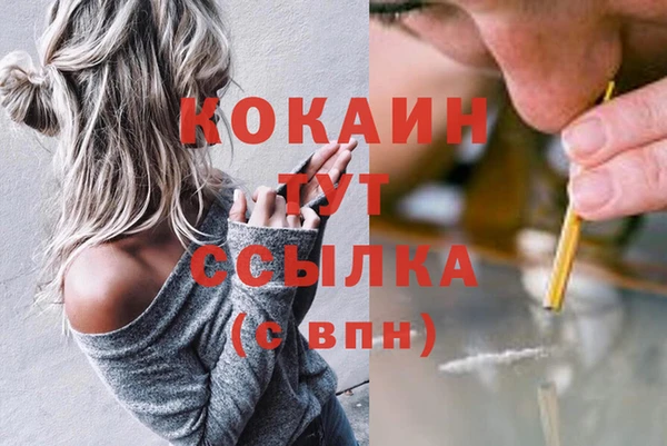 скорость Горняк
