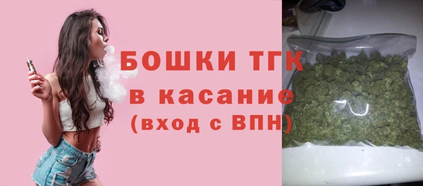 индика Горнозаводск