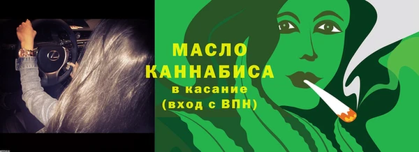 индика Горнозаводск