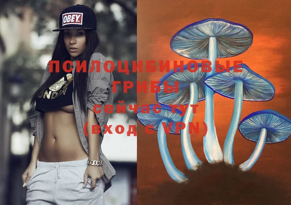 хмурый Горно-Алтайск