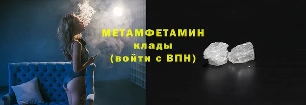 индика Горнозаводск