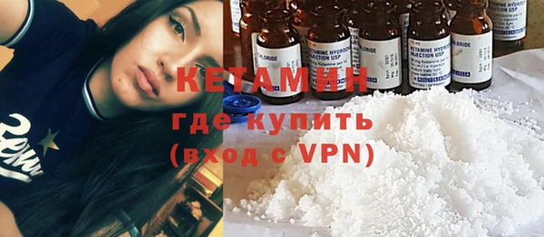 индика Горнозаводск