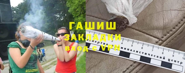 индика Горнозаводск