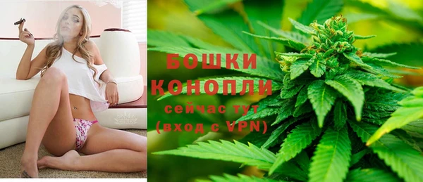 индика Горнозаводск