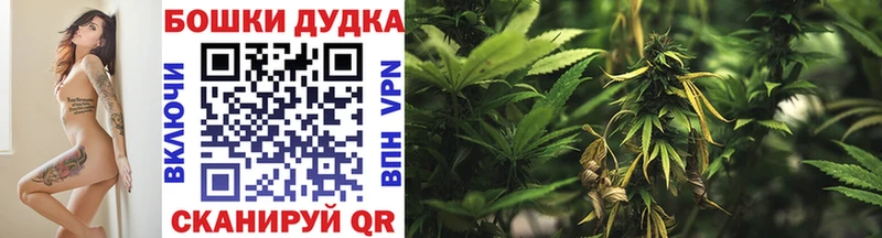 Купить закладки  Шатура  Бошки марихуана SATIVA & INDICA 